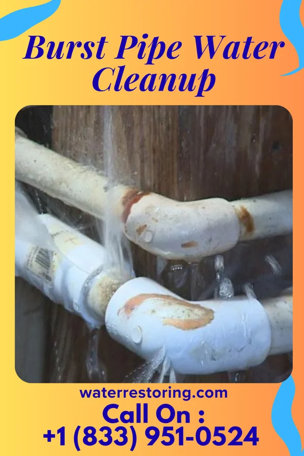 Burst Pipe Water Cleanup in Stillwater, PA