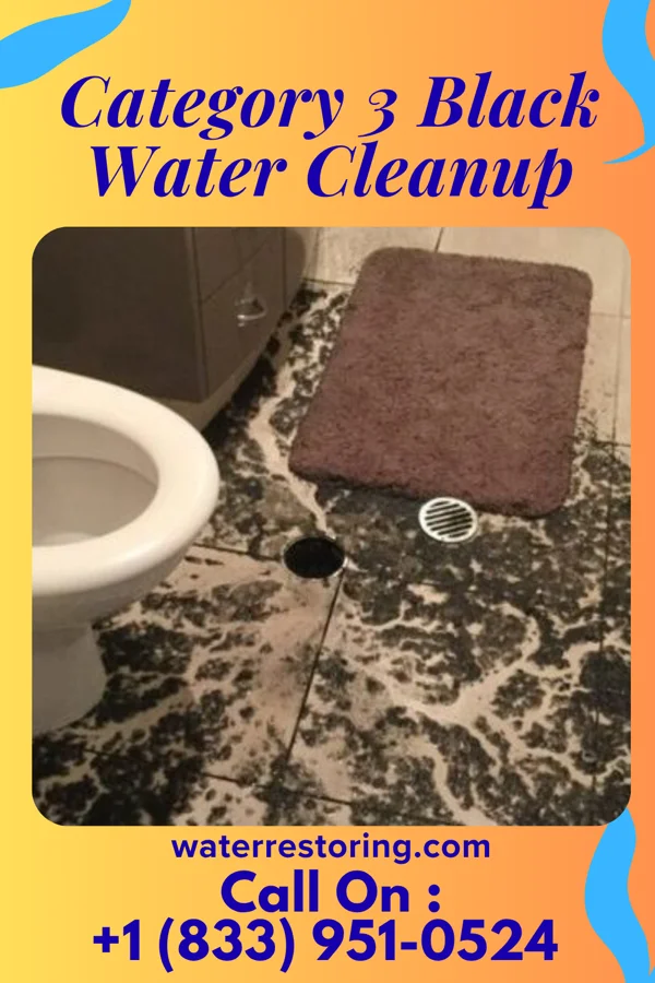 Category 3 Black Water Cleanup in Stillwater, PA