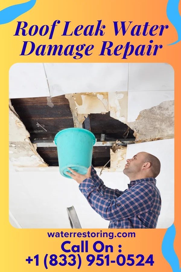 Roof Leak Water Damage Repair in Stillwater, PA